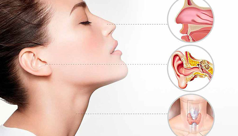 انف واذن وحنجرة كبار